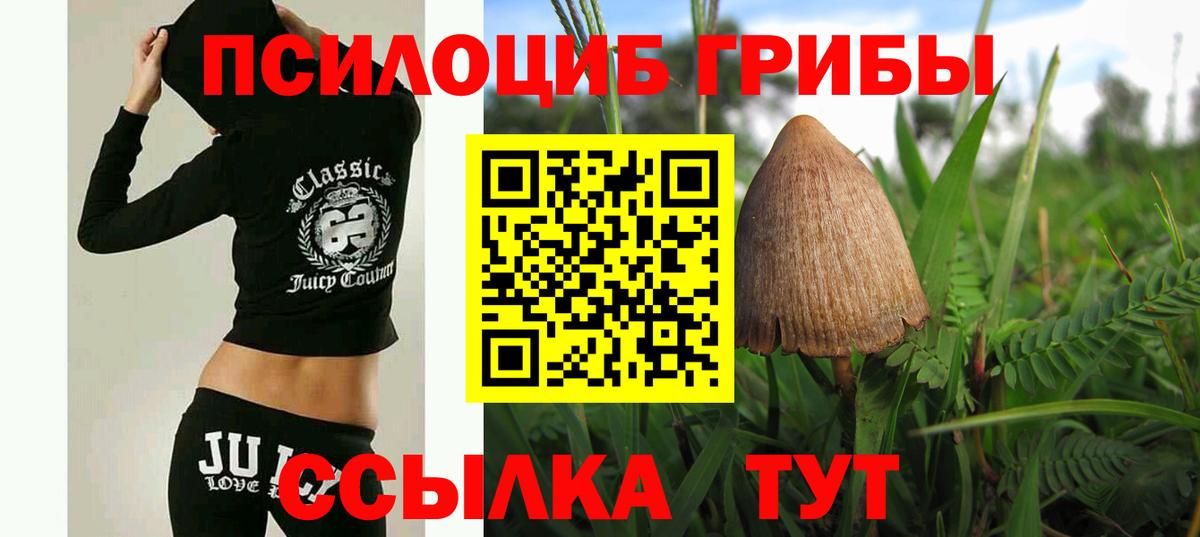 Псилоцибиновые грибы мицелий  Вход с VPN  Сегежа 