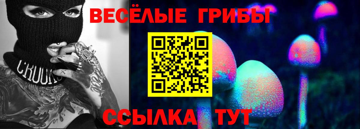 Псилоцибиновые грибы ЛСД Сегежа